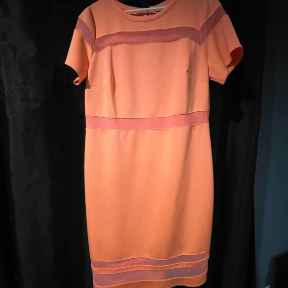 Orange/Pink Dress - Picture 6 of 7